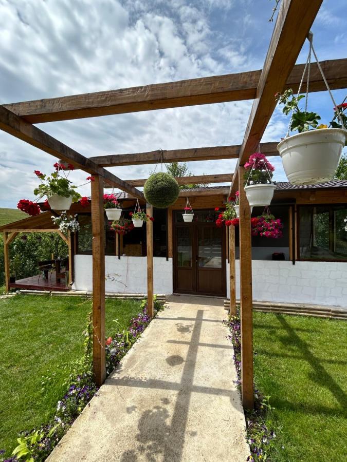 Вилла Casa Eden Fit Faget  Экстерьер фото